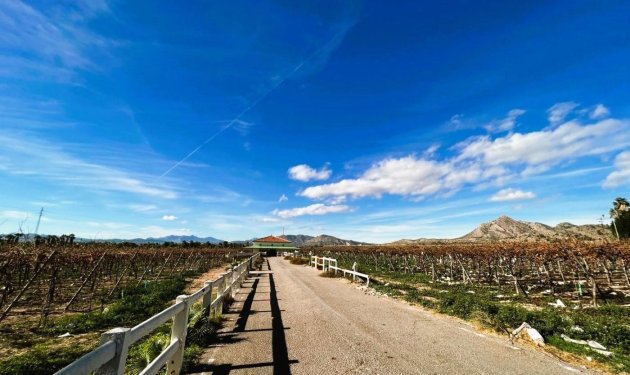 Resale - Finca rústica - Novelda - SERRETA