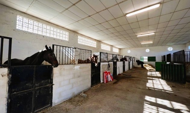 Resale - Finca rústica - Novelda - SERRETA