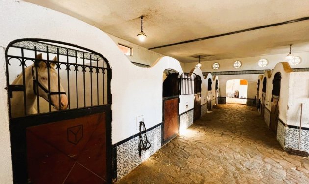 Resale - Finca rústica - Novelda - SERRETA