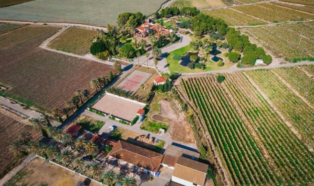 Resale - Finca rústica - Novelda - SERRETA