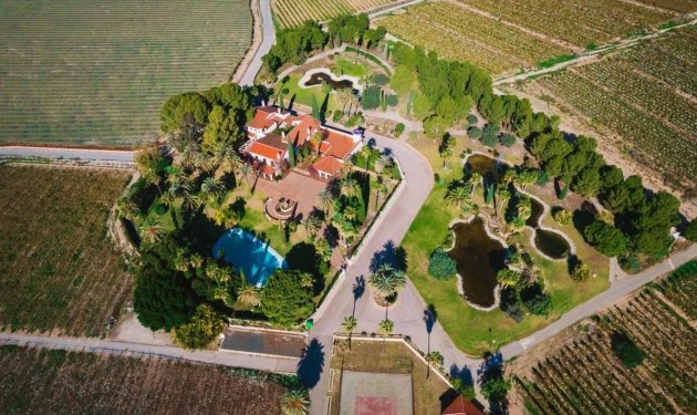 Resale - Finca rústica - Novelda - SERRETA