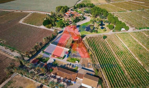 Resale - Finca rústica - Novelda - SERRETA