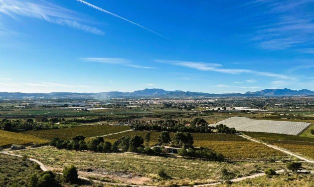 Resale - Finca rústica - Novelda - SERRETA