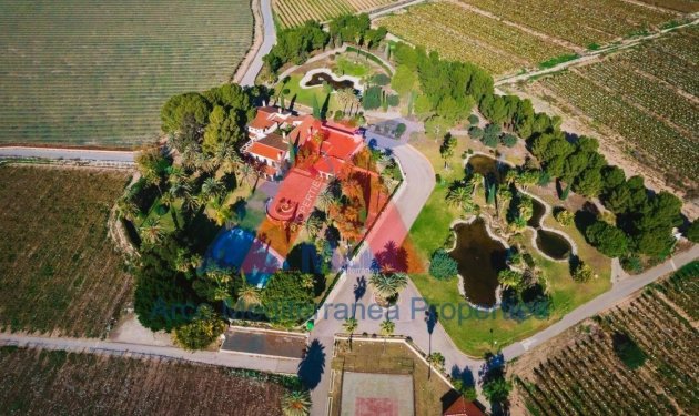 Resale - Finca rústica - Novelda - SERRETA