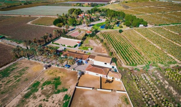 Resale - Finca rústica - Novelda - SERRETA