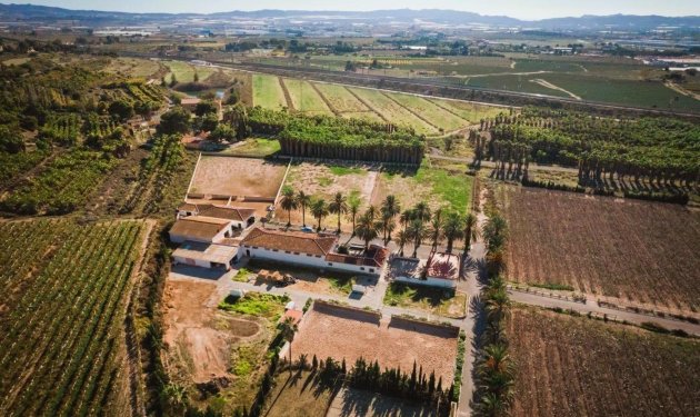 Resale - Finca rústica - Novelda - SERRETA