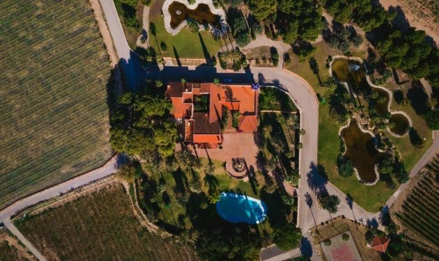 Resale - Finca rústica - Novelda - SERRETA