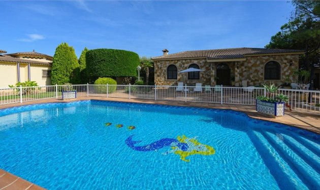 Resale - Chalet - Elche Pedanías - Alzabares