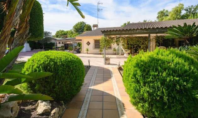 Resale - Chalet - Elche Pedanías - Alzabares