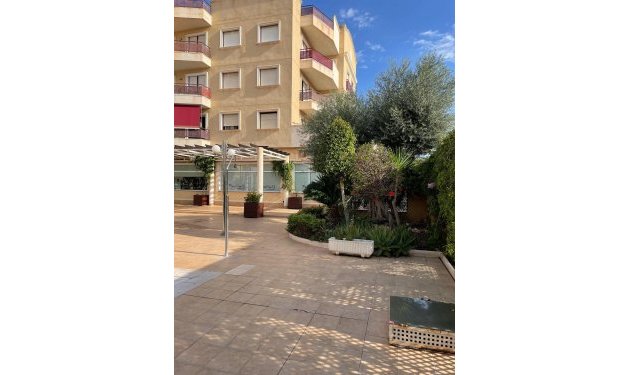 Resale - Apartamento - Orihuela Costa - Campoamor