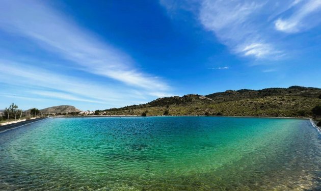 Resale - Finca rústica - Monovar - Monover - Beties