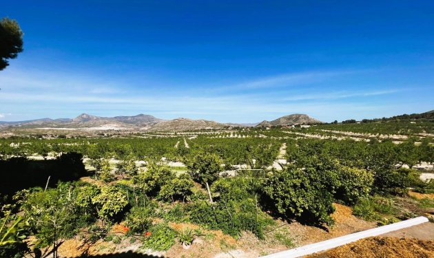 Resale - Finca rústica - Monovar - Monover - Beties