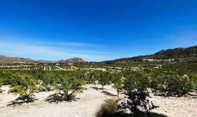 Resale - Finca rústica - Monovar - Monover - Beties