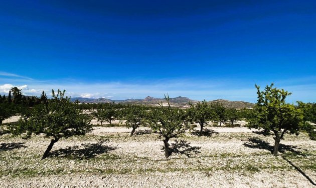 Resale - Finca rústica - Monovar - Monover - Beties