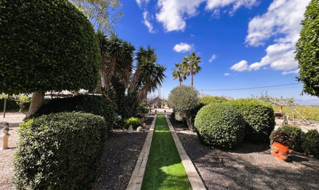 Resale - Chalet - Orihuela - Molins-Campaneta-San Bartolomé