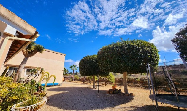 Resale - Chalet - Orihuela - Molins-Campaneta-San Bartolomé