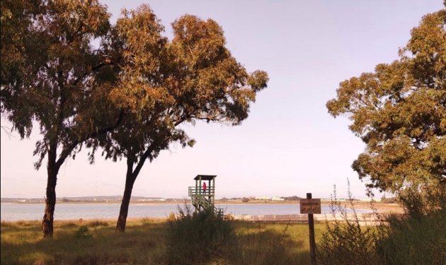 Resale - Piso - Torrevieja - Playa de la mata