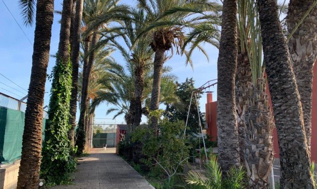 Resale - Chalet - Elche Pedanías - Alzabares