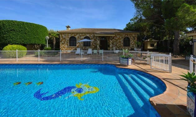 Resale - Chalet - Elche Pedanías - Alzabares