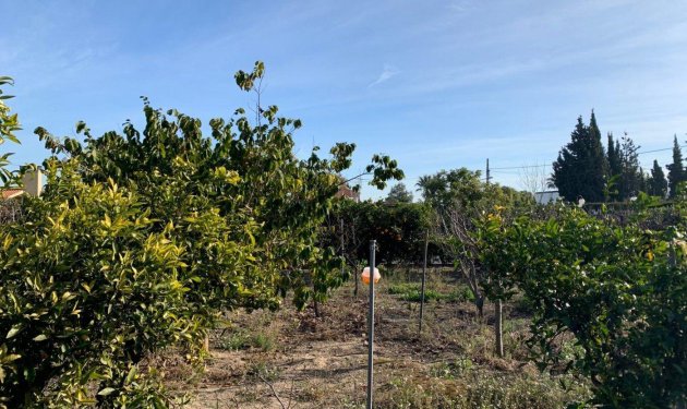 Resale - Chalet - Elche Pedanías - Alzabares