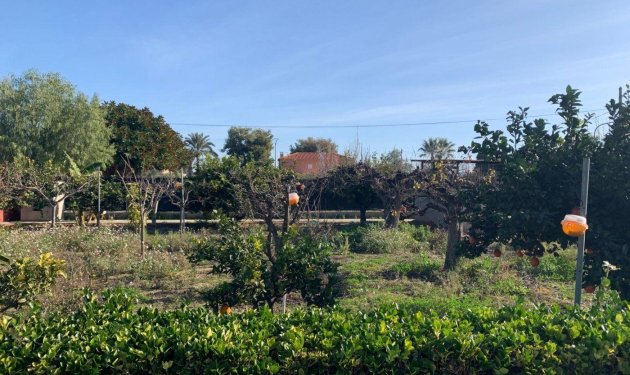 Resale - Chalet - Elche Pedanías - Alzabares