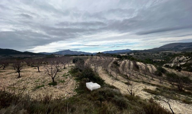 Odsprzedaż - Finca rústica - Penaguila