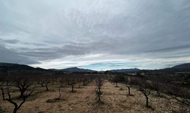 Odsprzedaż - Finca rústica - Penaguila