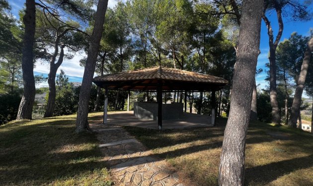 Odsprzedaż - Finca rústica - Penaguila