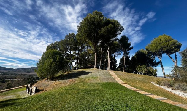 Odsprzedaż - Finca rústica - Penaguila