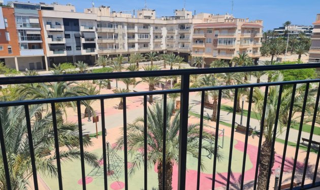 Resale - Piso - Elche - Campo de Fútbol