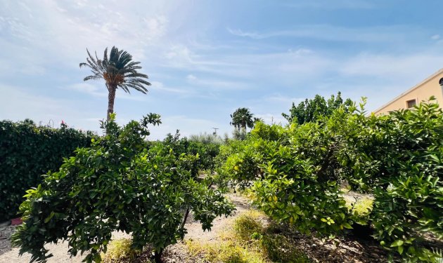 Resale - Chalet - Elche Pedanías - Maitino-Perleta