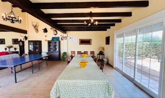 Resale - Chalet - Elche Pedanías - Maitino-Perleta