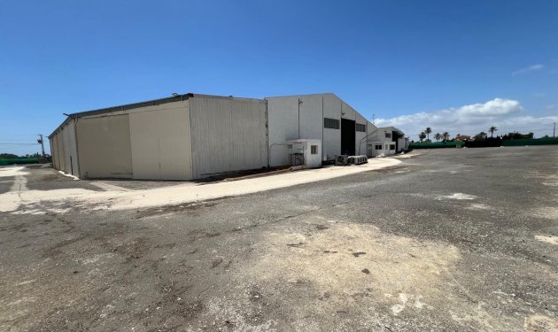 Resale - Nave industrial - Elche