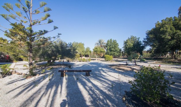 Resale - Villa - Elche Pedanías - xLas bayas