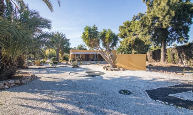 Resale - Villa - Elche Pedanías - xLas bayas