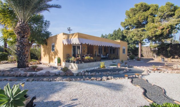 Resale - Villa - Elche Pedanías - xLas bayas