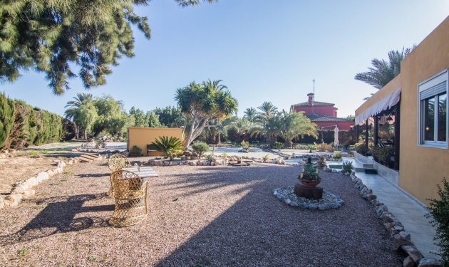 Resale - Villa - Elche Pedanías - xLas bayas
