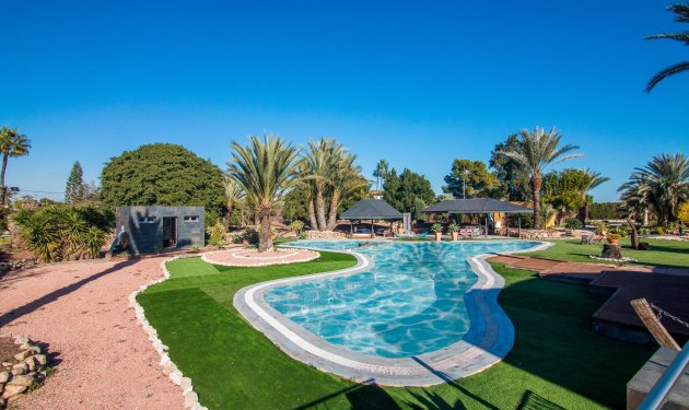 Resale - Villa - Elche Pedanías - xLas bayas