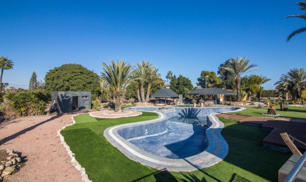 Resale - Villa - Elche Pedanías - xLas bayas