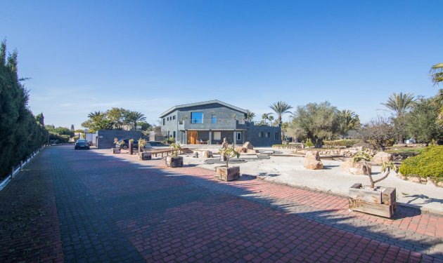 Resale - Villa - Elche Pedanías - xLas bayas