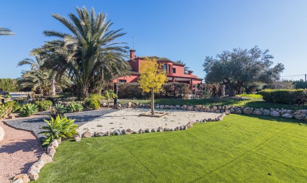 Resale - Villa de Lujo - Elche Pedanías - xLas bayas