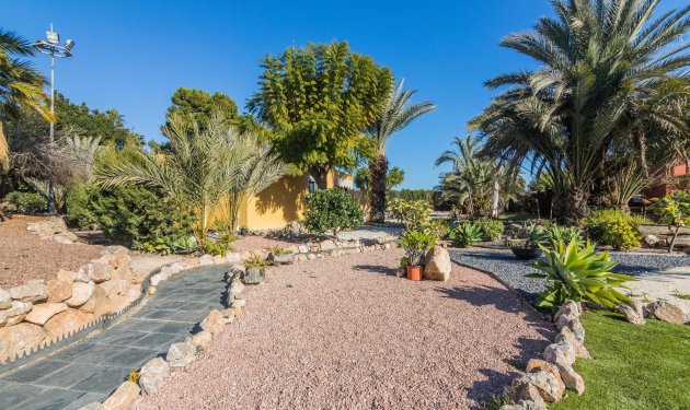 Resale - Villa de Lujo - Elche Pedanías - xLas bayas