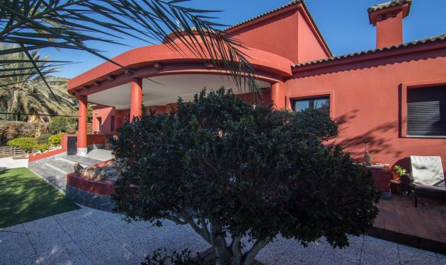 Resale - Villa de Lujo - Elche Pedanías - xLas bayas