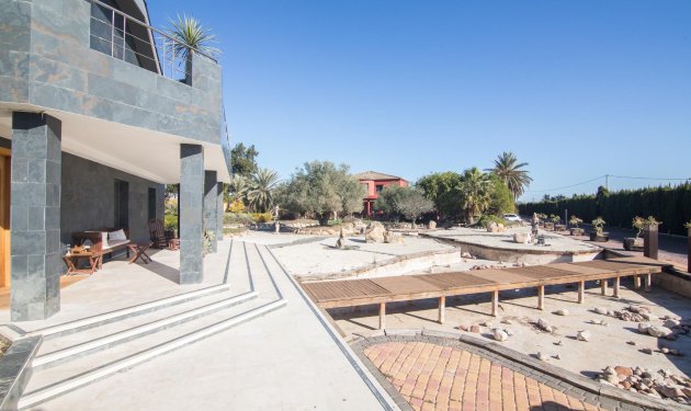 Resale - Villa de Lujo - Elche Pedanías - xLas bayas
