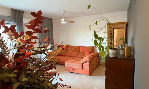 Resale - Piso - Elche - Zona Deportiva-Nuevo Altabix