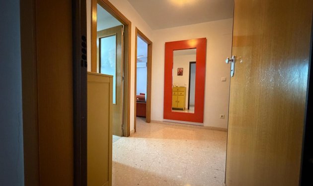 Resale - Piso - Elche - Zona Deportiva-Nuevo Altabix