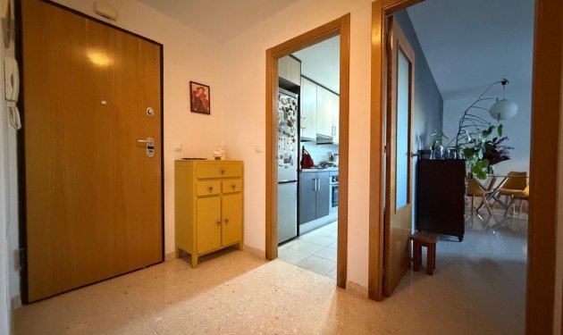 Resale - Piso - Elche - Zona Deportiva-Nuevo Altabix