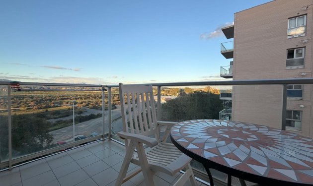 Resale - Piso - Elche - Zona Deportiva-Nuevo Altabix