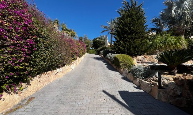 Resale - Chalet - Elche - Bonavista