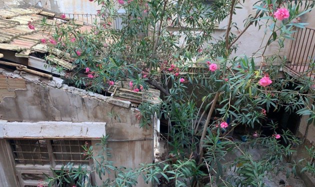 Resale - Edificio - Elche - Centro